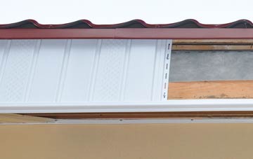 Clunie fascia repair costs