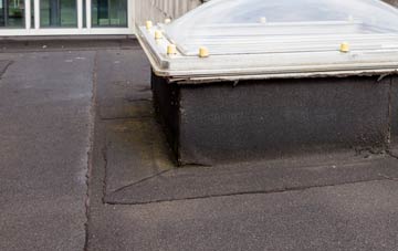 disadvantages of Clunie flat roofs