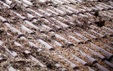 Clunie roof cleaning companies